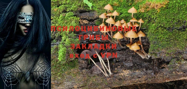 МДПВ Алексин
