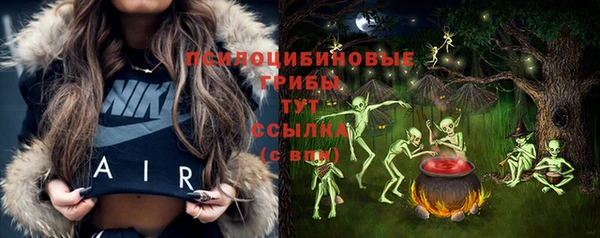 круглые Алексеевка