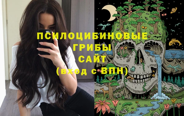 трава Протвино